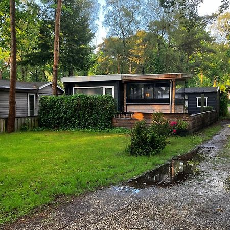 Chalet Bosrijk Midden In De Natuur-Eten&Drinken-Activiteiten-Ontspanning-En Nog Veel Meer Hoenderloo Eksteriør billede